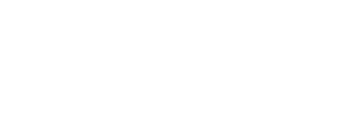 WordPressの表示速度【国内No.1】